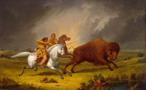 Paul Kane Assiniboine hunting buffalo china oil painting image